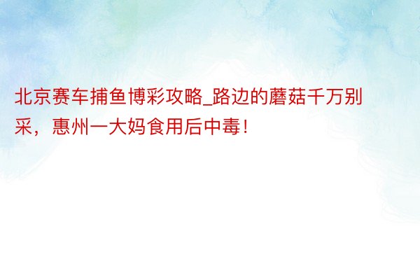 北京赛车捕鱼博彩攻略_路边的蘑菇千万别采，惠州一大妈食用后中毒！